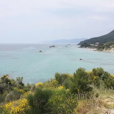 Nyaraló Michalis *